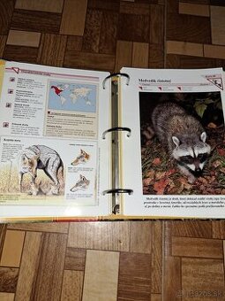 Encyklopedia zvierat