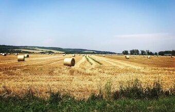 Košická Polianka – 24.500 m2 ORNÁ PÔDA (2,4 Ha)