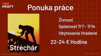Hľadáme Strechárov - NEMECKO - 6700 €