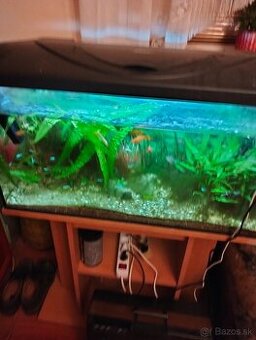Predam kompletne akvárium