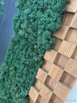 zrkadlova machova stena