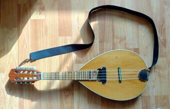 Elektroakusticka mandolina