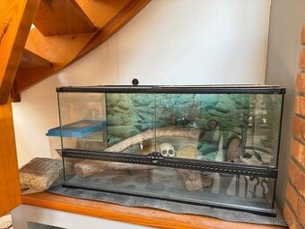 Terarium - 1