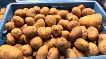 Ponúkam na predaj zemiaky na zimné uskladnenie
