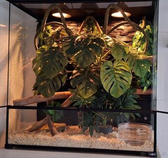 Terarium Repti Planet 90x45x90