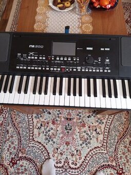 Predám Korg pa 300