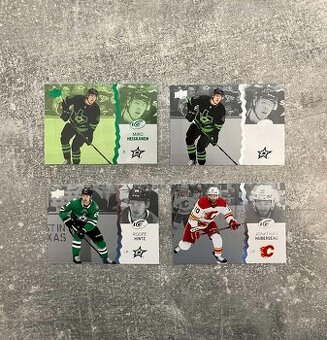 Hokejové kartičky mix NHL 3