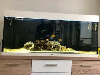 Akvarium Juwel Rio 240 LED biele