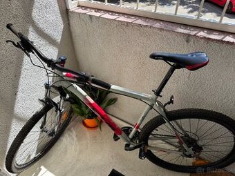 ctm rein 3.0 - L - 29"