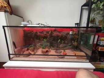 Veľké zariadené terárum pre gekončíka (120 x 50 x 50cm )
