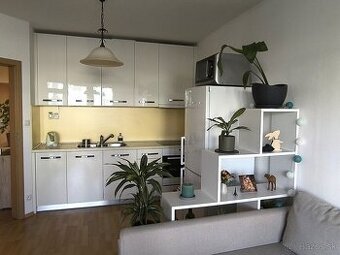 2 izb. priestranný byt s garážou vrátane energií - Jégeho BA