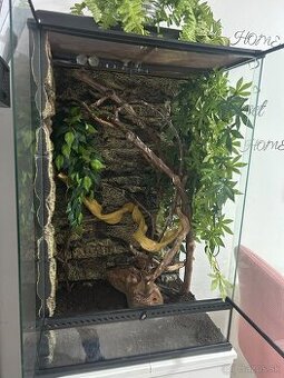 Terárium, skrinka, príslušenstvo