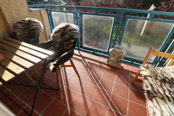 Prenájom 3 - izbového luxusného bytu Bulvár