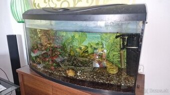 Akvárium 120l