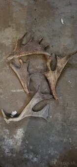 Parohy,hryzadla,zhody