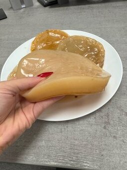 ČAJOVÁ HUBA - KOMBUCHA