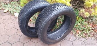 NOKIAN, ZIMNE, CELOROCNE, 205/60 R16, 92H, M+S - 1
