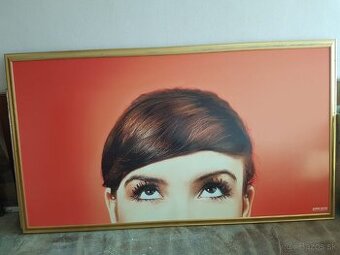 PREDÁM Obraz 250x140