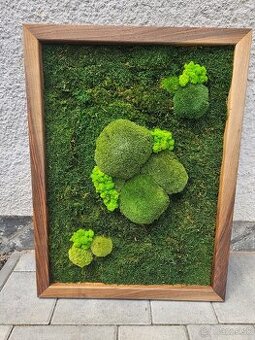 Machovy obraz 80x60cm