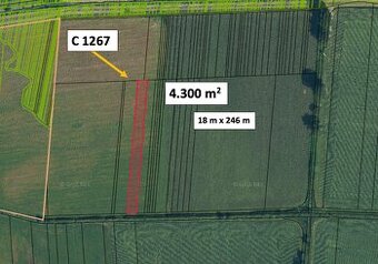 Fiľakovské Kováče – 4.300 m2 ORNÁ PÔDA 1/1