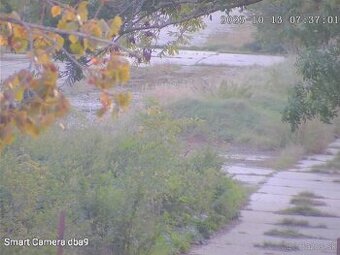 Kvetoslavov
