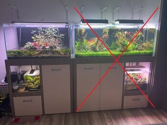 Akvarium