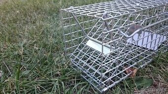 Pasca/klietka na kuny, mysi VHODNA AJ NA VIANOCE