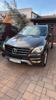 Mercedes GLE 250d 4Matic