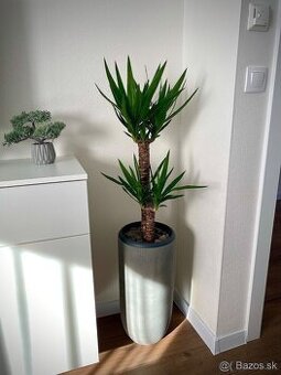 KVETINÁČ / DEKOR BETÓN / NOVÝ