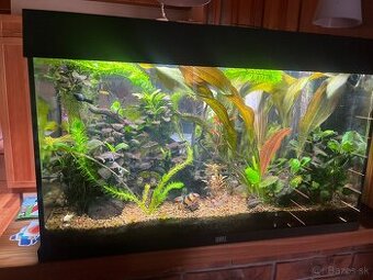 Akvarium s vybavením - 1