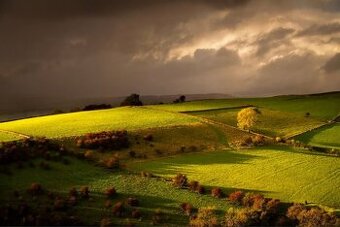 Trhovište – 11.445 m2 POZEMKY v pozemkových úpravách