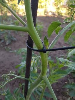 Predám binderky,stahovacie pásky každé 4 balenie zadarmo v j