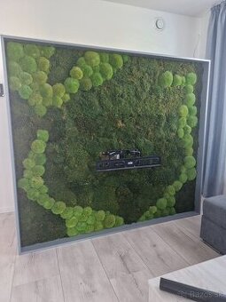 Machova zastena za TV