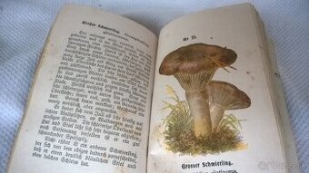 atlas -huby -1914 -stará hubárska kniha