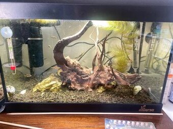 Diversa startup led 40