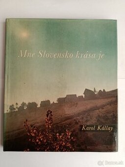 Karol Kállay