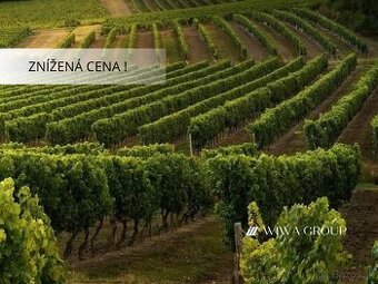 Vyškovce nad Ipľom – vinica na predaj 273/3/23