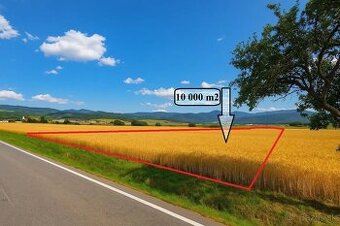 Predaj kvalitnej ornej pôdy v blízkosti obce Bijacovce