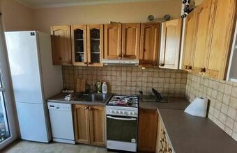 Dvierka - 100% drevo - 1