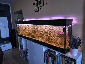 Akvárium s príslušenstvom