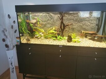 akvarium Juwel RIO 240 L