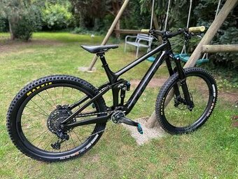 Trek Remedy 9.8 2022 Carbon