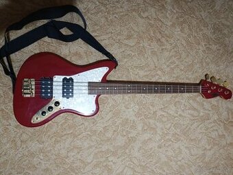 Basgitara stagg