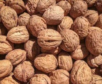 Vlašske orechy-nelupane