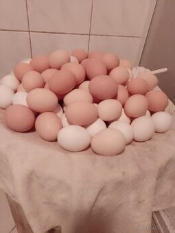 Čerstve domáce vajcia