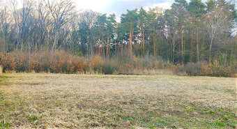 Výnimočný pozemok pod lesom, Malá Ida (Panský les), 595m2