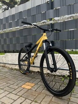 CTM DIRTKING 2021