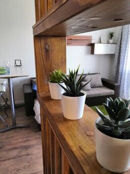 1 spálňa 1 kúpeľňa Byt/obytný dom PRENAJOM