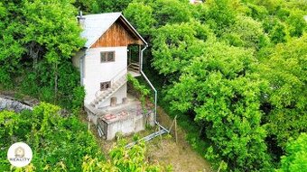 Chata na predaj s funkčnou vinicou pri obci Hrhov