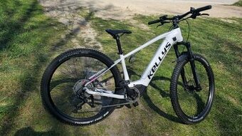 kellys tayen R50